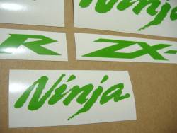 Kawasaki ZX10R Ninja bright green custom graphics