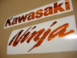 Kawasaki ZX-10R Ninja chrome orange logo graphics
