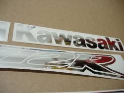Kawasaki-zx12r-ninja-mirror-silver-decal-set