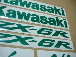 Kawasaki ZX-6R Ninja signal light reflective green graphics