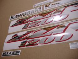 Adhesives for Kawasaki ZZR 1200 silver 2002 model