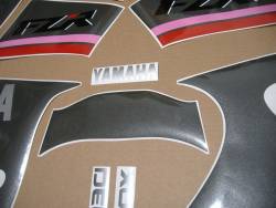 Graphics for Yamaha FZR 1000 Exup 1991 3LE black model