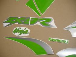 Lime green customized graphics for Kawasaki ZX-9R