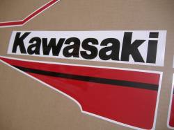 Kawasaki ZX10R Ninja 2021 genuine style stickers