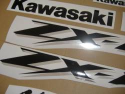 Kawasaki ZX12R 2004 Ninja silver full decals kit