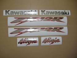 Kawasaki ZX-12R 2003 Ninja black adhesives