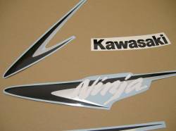 Kawasaki ZX-10R 2007 green stickers set