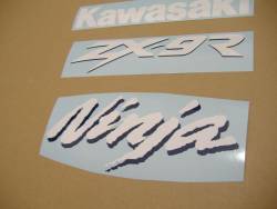 Kawasaki ZX-9R 1999 green stickers set