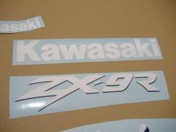 Kawasaki ZX-9R 1999 green adhesives set