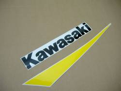 Kawasaki ZX-9R 2002 silver stickers set