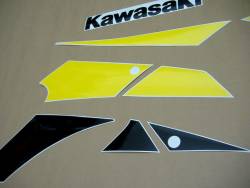 Kawasaki ZX9R 2002 silver labels graphics