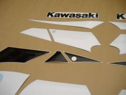 Kawasaki ZX-9R 2002 gold stickers set