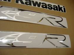 Kawasaki ZX9R 2003 Ninja grey stickers