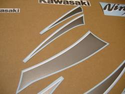 Kawasaki 250 R 2007 red labels graphics