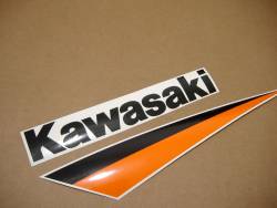 Kawasaki ZX9R 2003 silver stickers set