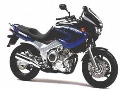 Yamaha TDM 850 2001 4TX blue stickers