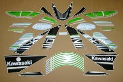 Kawasaki zx10r ninja 2016 adhesives set